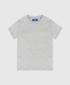 Gray T-shirt With Textured Logo