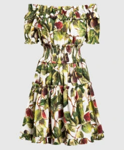 Dolce & Gabbana Mini Dress In Fig Print