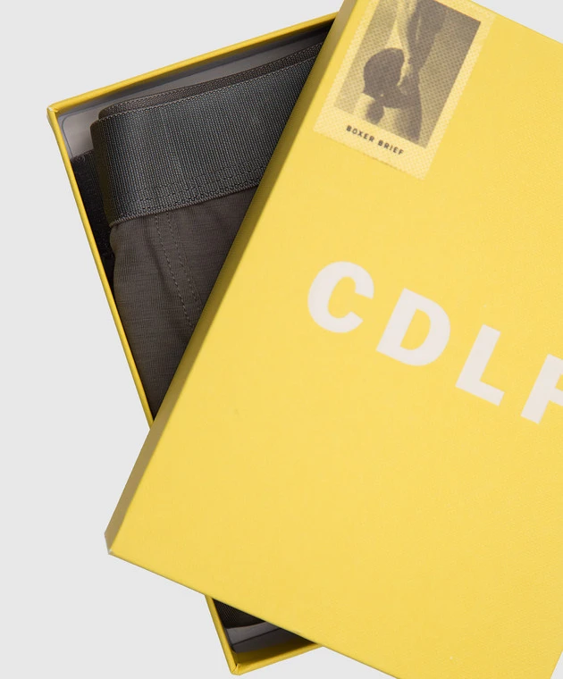 Gray Briefs With Logo 2 Gray Briefs With Logo - Image 2