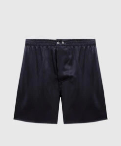 Blue Silk Boxer Briefs