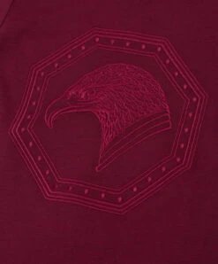 Children's Burgundy T-shirt With Embroidery 5 Children's Burgundy T-shirt With Embroidery -Summer Fashion Clothing d143bc9f 2676 49d3 8d54 d98c7ecc2af3