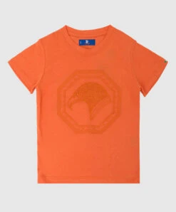 Children's Orange T-shirt With Embroidery