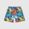 Vilebrequin Children's Blue Shorts Jim In A Print