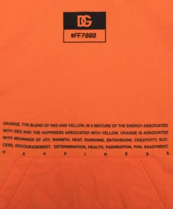 Dolce & Gabbana Children's Orange Hoodie With Logo Print -Summer Fashion Clothing f2f0fde8 e2b6 431c 924e 32ac5af45612